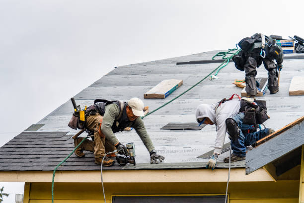 Professional Gutter Installation technician working in Cibolo, TX